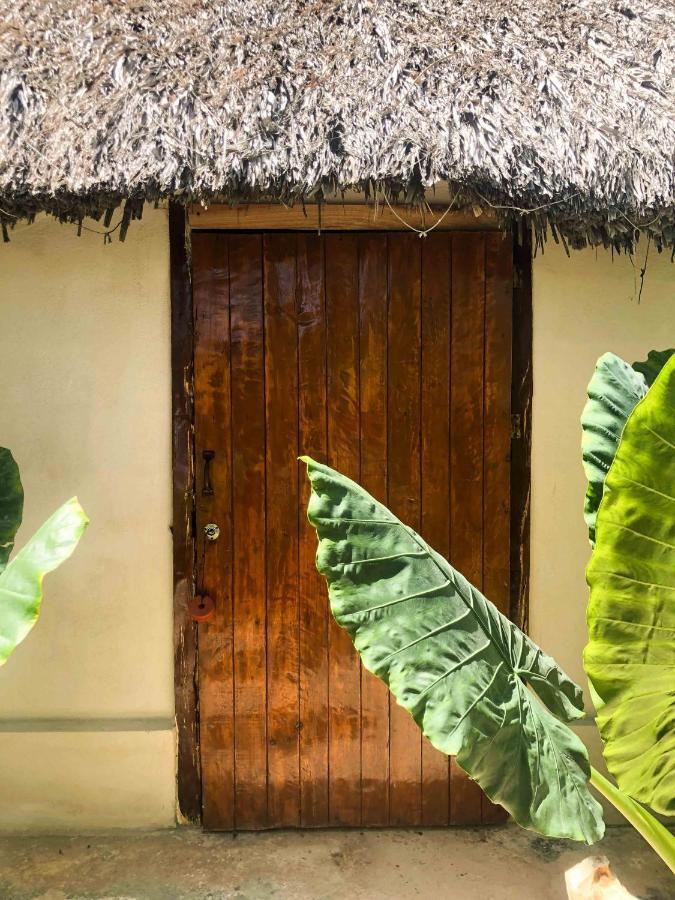 Casa Mate Beachfront Cabanas El Cuyo Eksteriør bilde